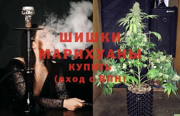 Альфа ПВП Билибино