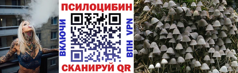 Псилоцибиновые грибы Psilocybe  Змеиногорск 